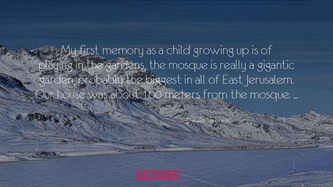 Children Growing Up quotes by Rula Jebreal
