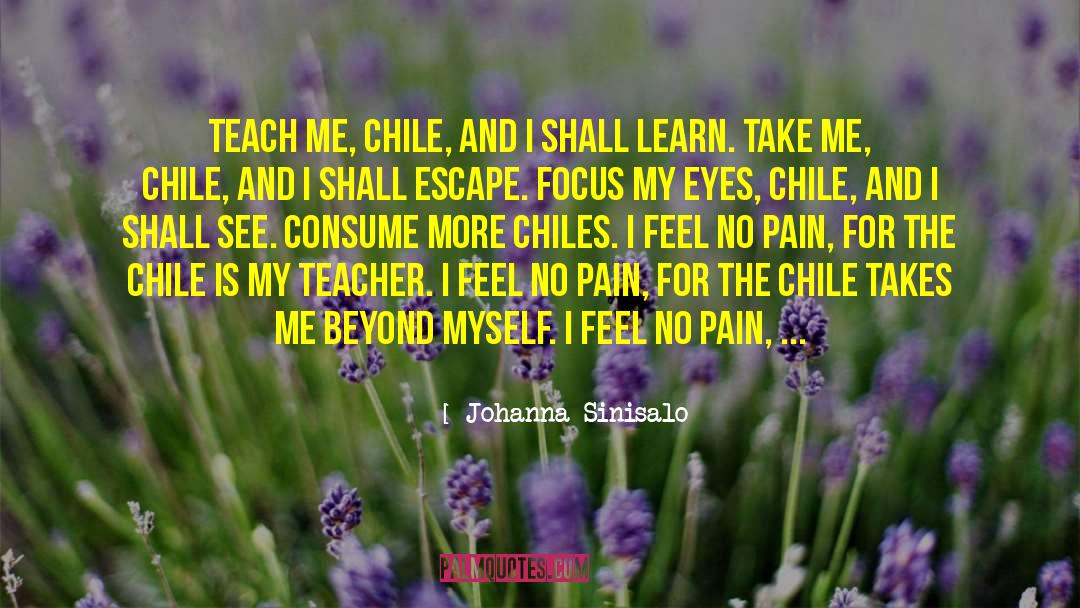 Chile quotes by Johanna Sinisalo