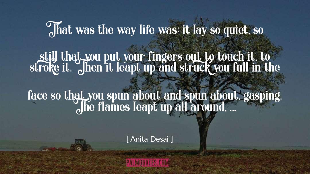 Chilhood Trauma quotes by Anita Desai