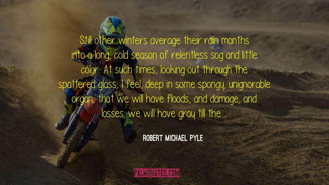 Chill Of The Rain quotes by Robert Michael Pyle