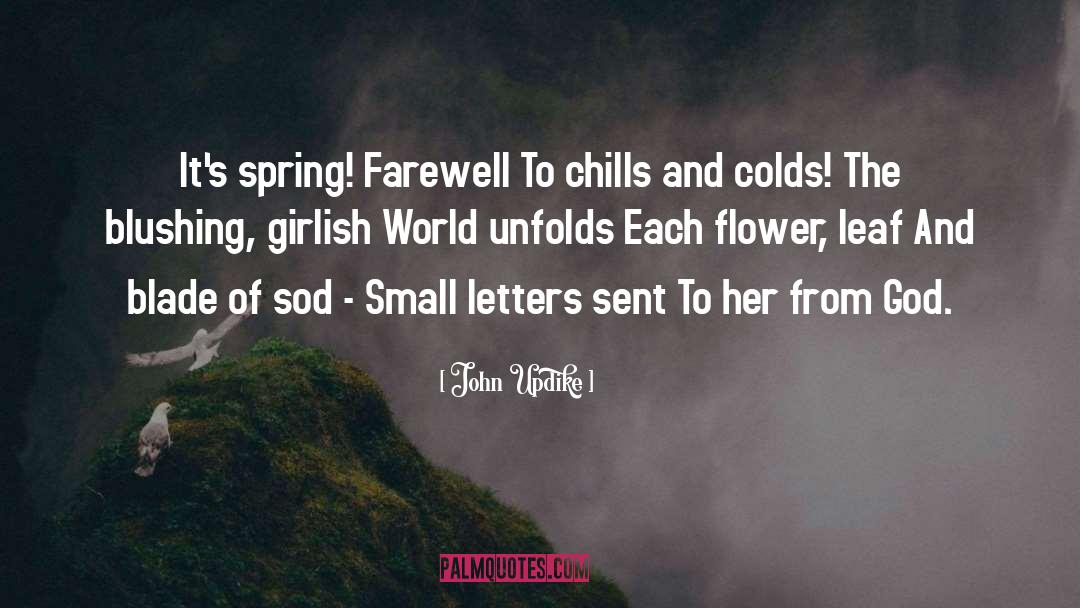 Chills quotes by John Updike