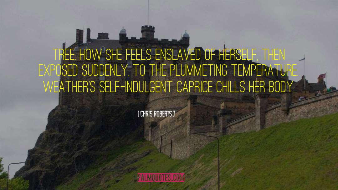 Chills quotes by Chris Roberts
