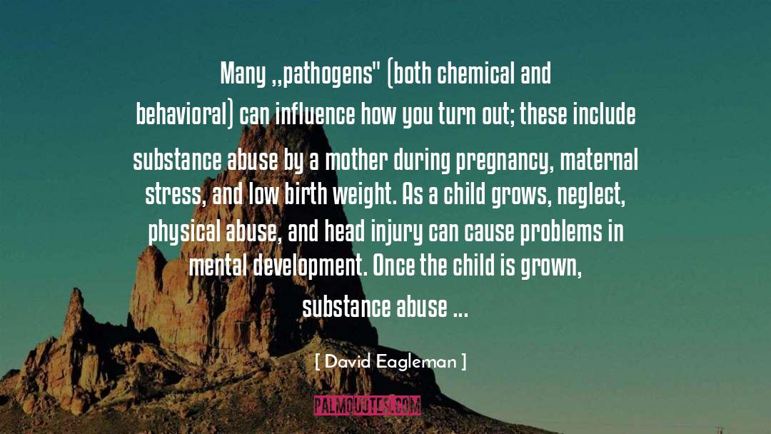 Chilsd Abuse quotes by David Eagleman