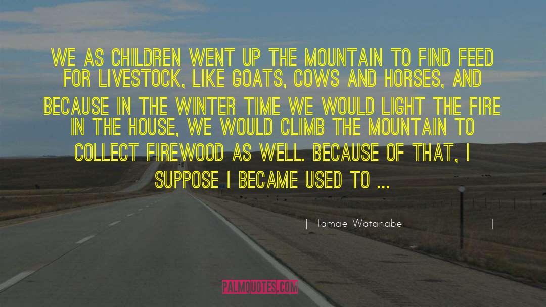 Chimborazo Mountain quotes by Tamae Watanabe