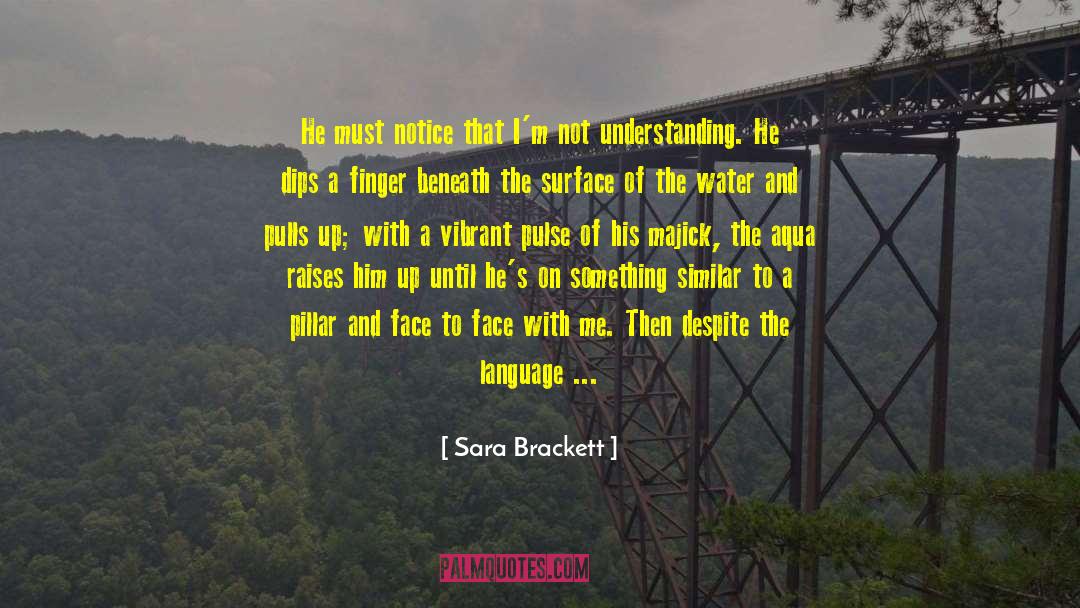 Chimes quotes by Sara Brackett