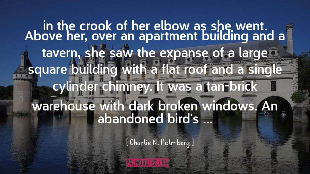 Chimney quotes by Charlie N. Holmberg