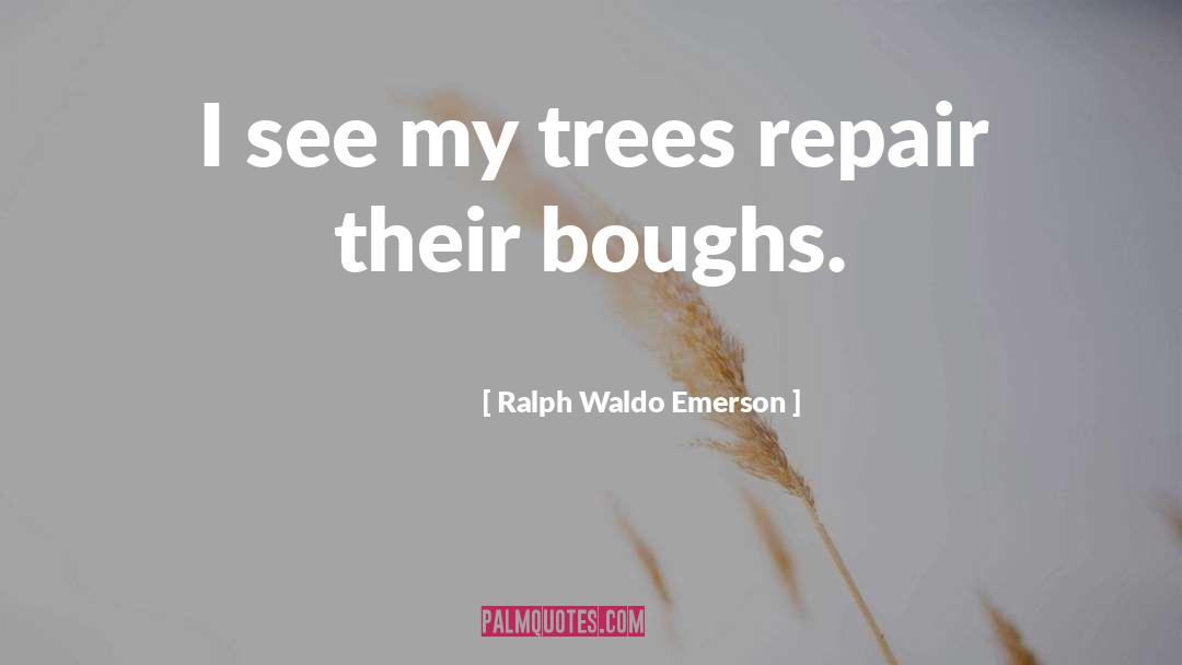 Chimney Repair quotes by Ralph Waldo Emerson