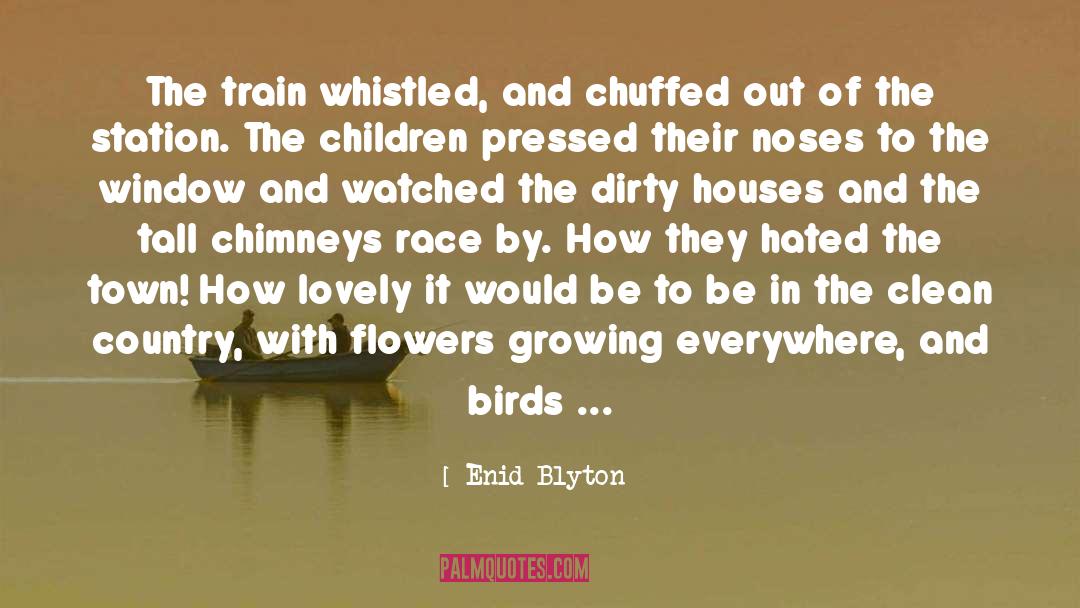 Chimneys quotes by Enid Blyton