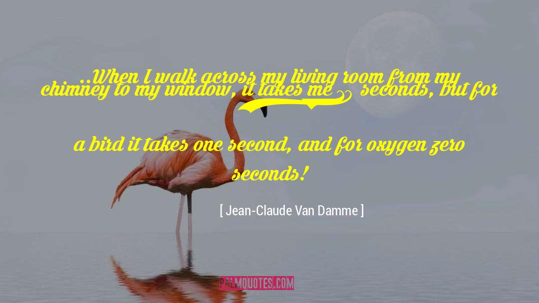 Chimneys quotes by Jean-Claude Van Damme