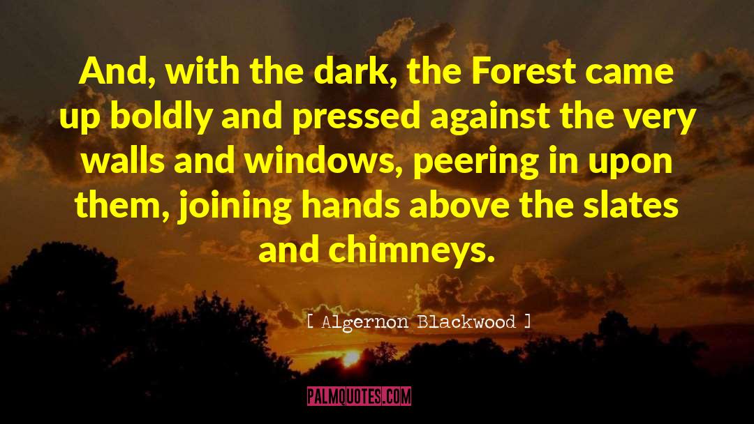 Chimneys quotes by Algernon Blackwood