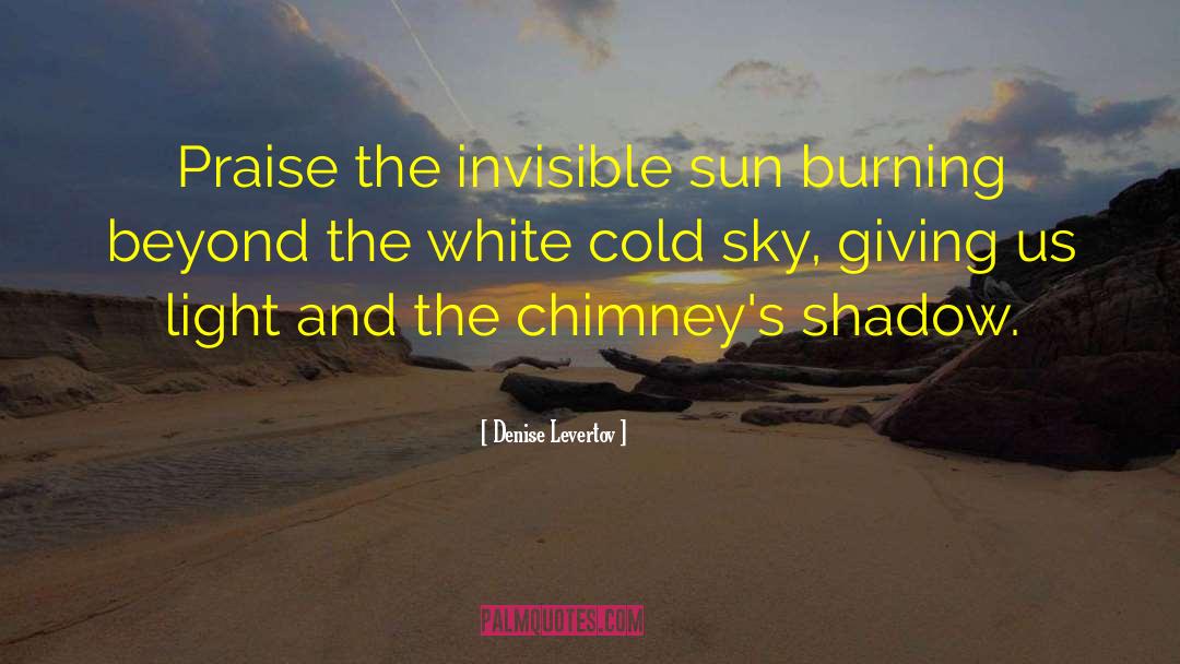 Chimneys quotes by Denise Levertov