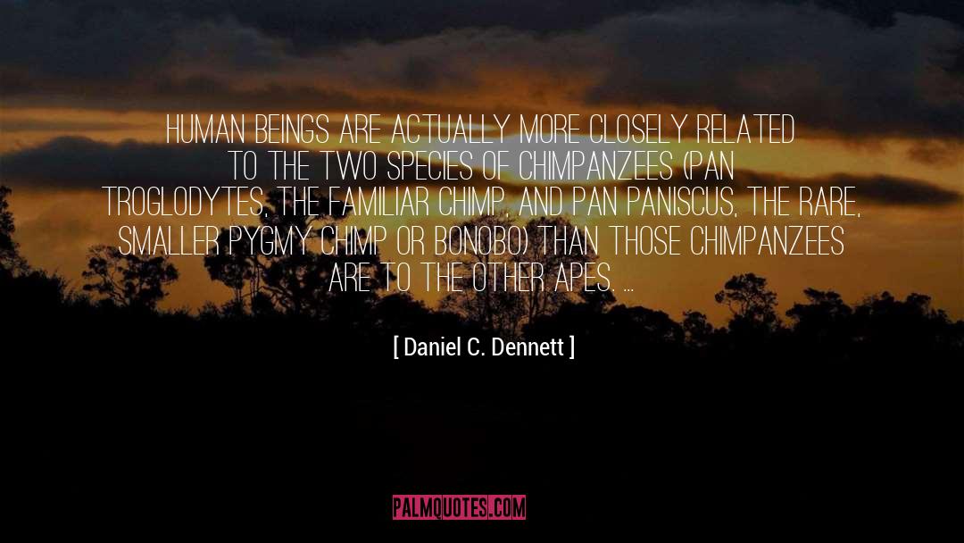 Chimp quotes by Daniel C. Dennett