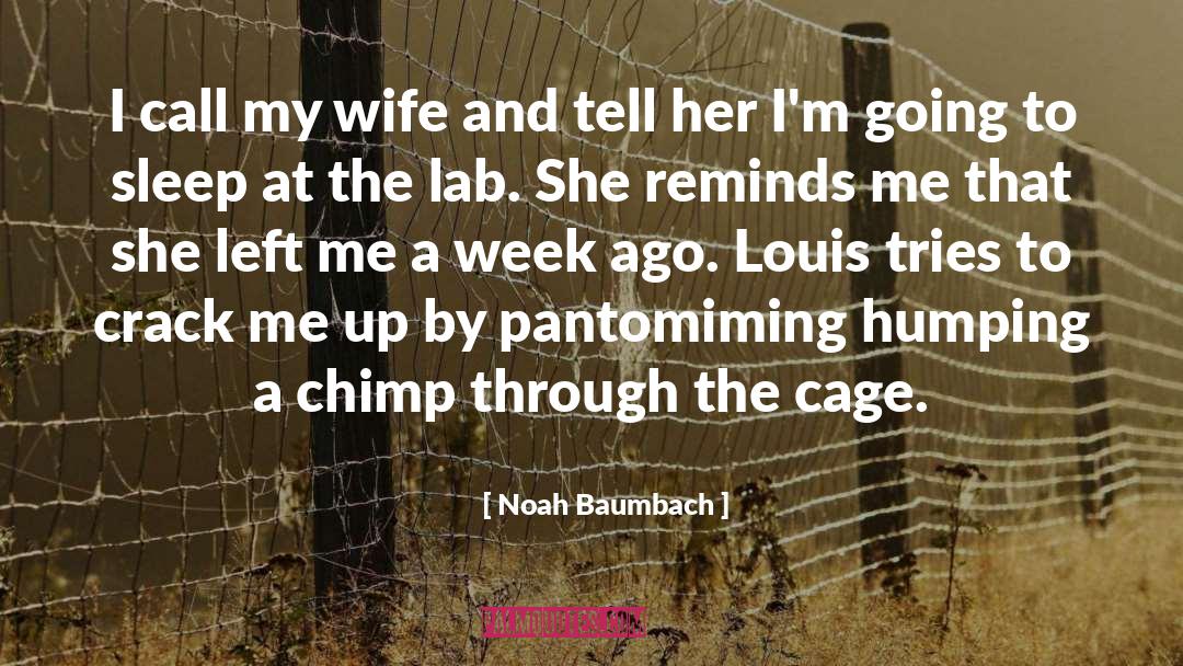 Chimp quotes by Noah Baumbach