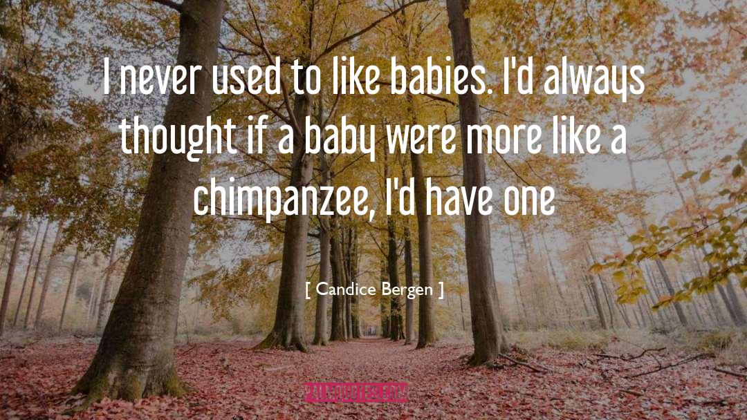 Chimpanzee quotes by Candice Bergen