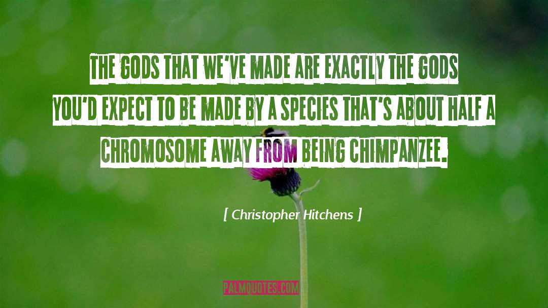 Chimpanzee quotes by Christopher Hitchens