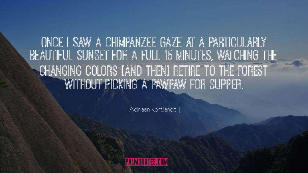 Chimpanzee quotes by Adriaan Kortlandt