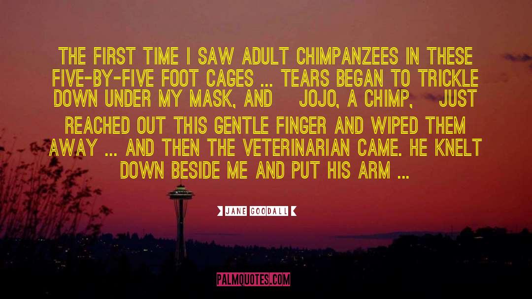 Chimpanzees quotes by Jane Goodall