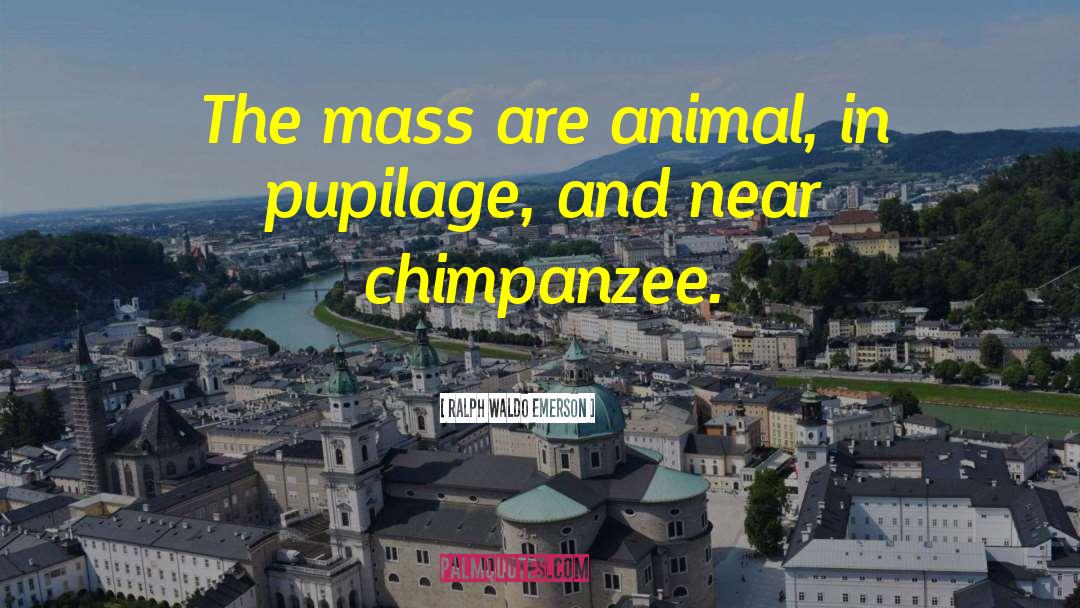 Chimpanzees quotes by Ralph Waldo Emerson
