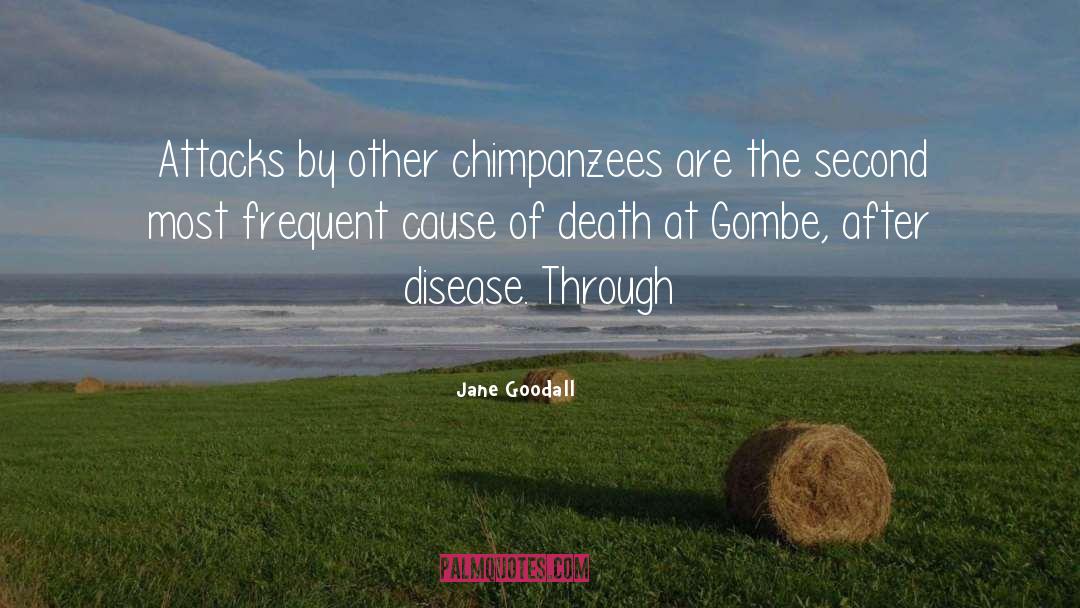 Chimpanzees quotes by Jane Goodall