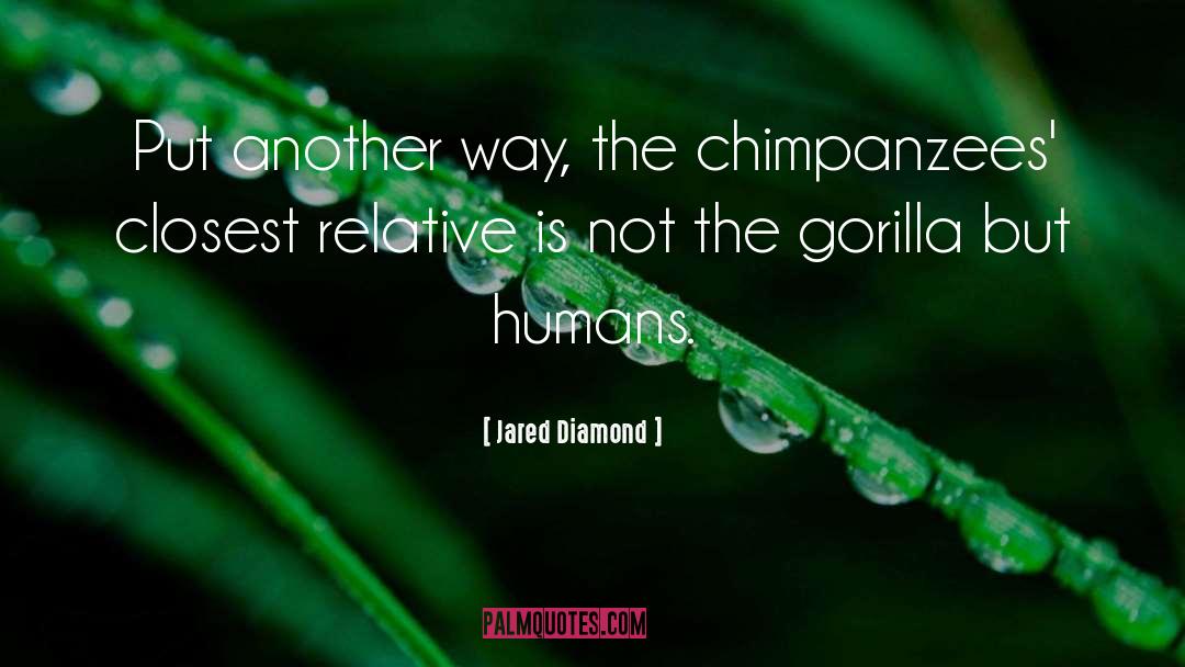 Chimpanzees quotes by Jared Diamond