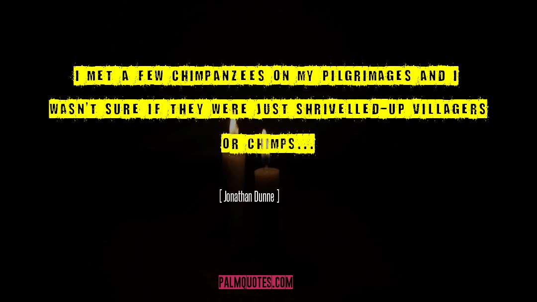 Chimps quotes by Jonathan Dunne