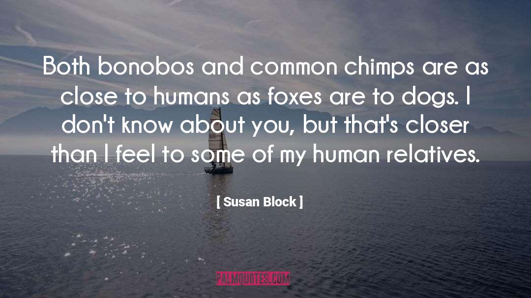 Chimps quotes by Susan Block