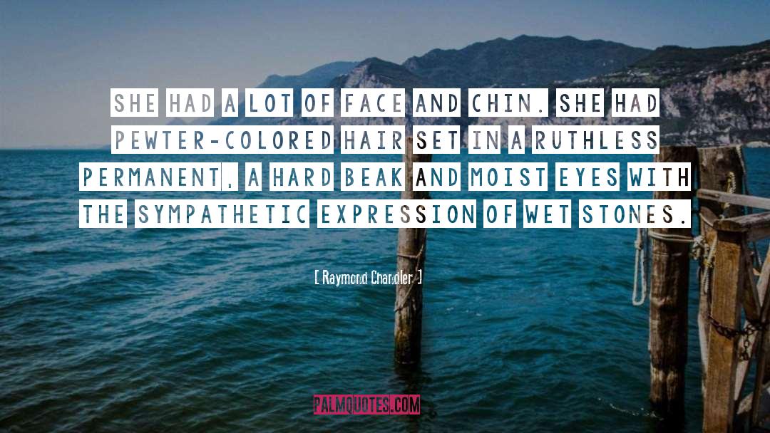 Chin quotes by Raymond Chandler