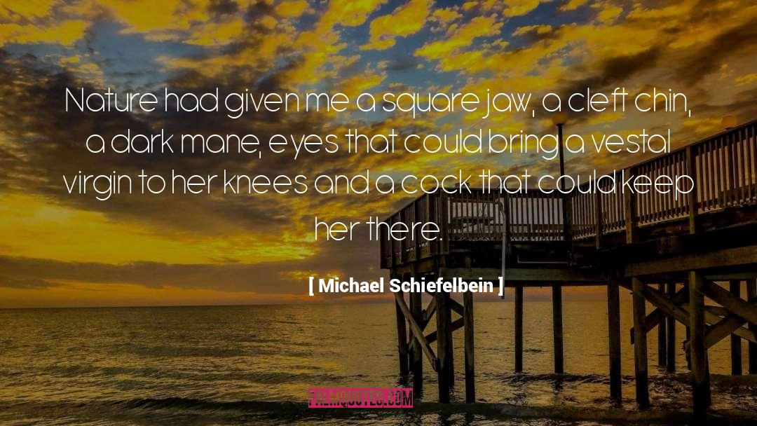 Chin quotes by Michael Schiefelbein