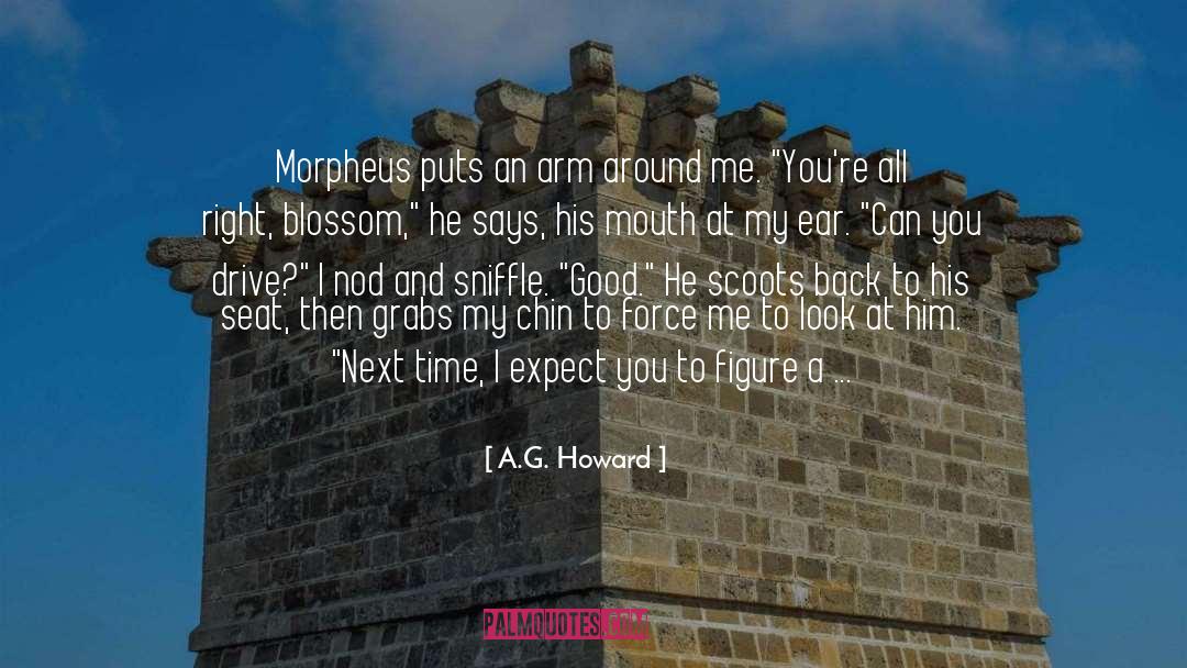 Chin quotes by A.G. Howard