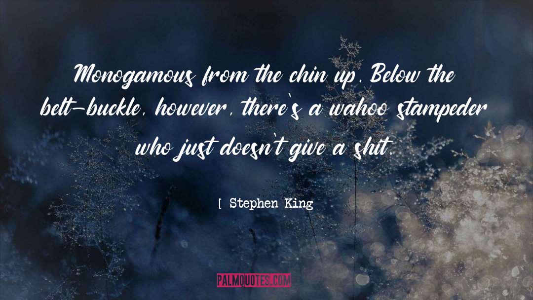 Chin Up quotes by Stephen King