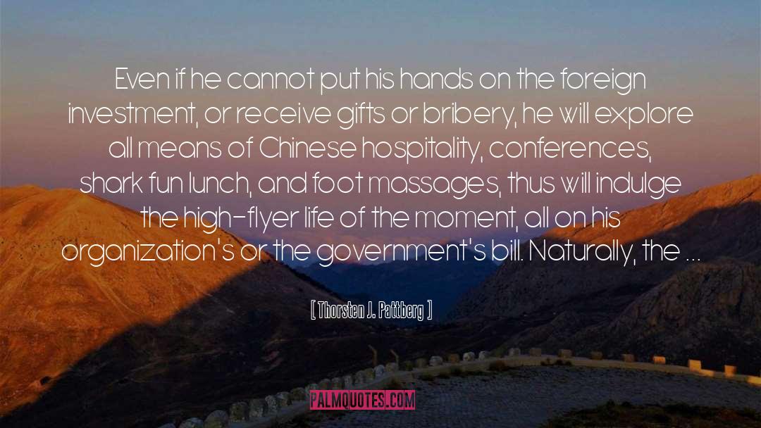 China Corruption quotes by Thorsten J. Pattberg