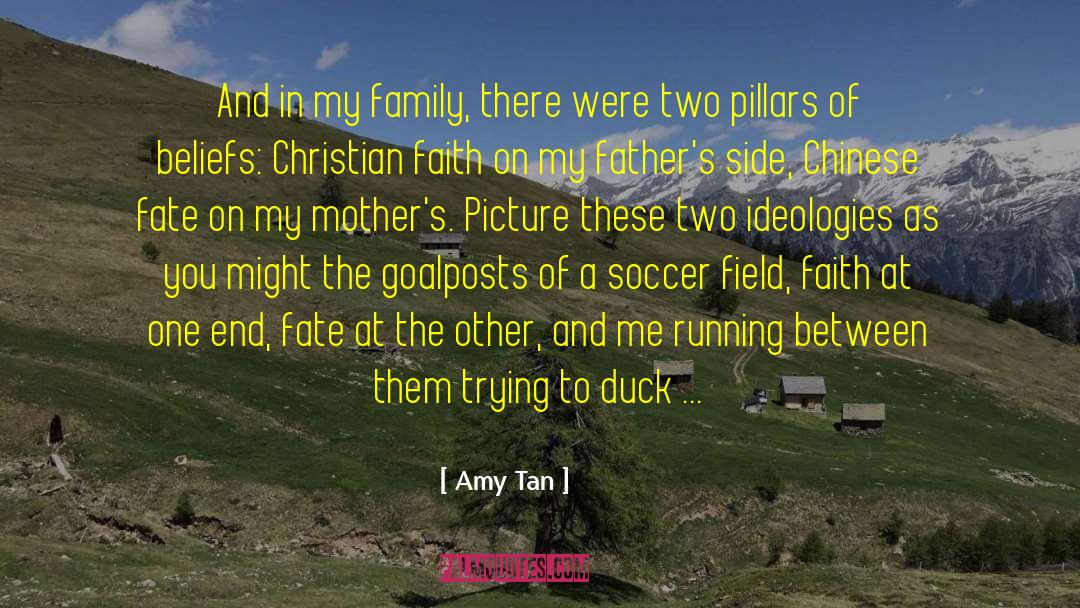 Chinese Allegorical quotes by Amy Tan
