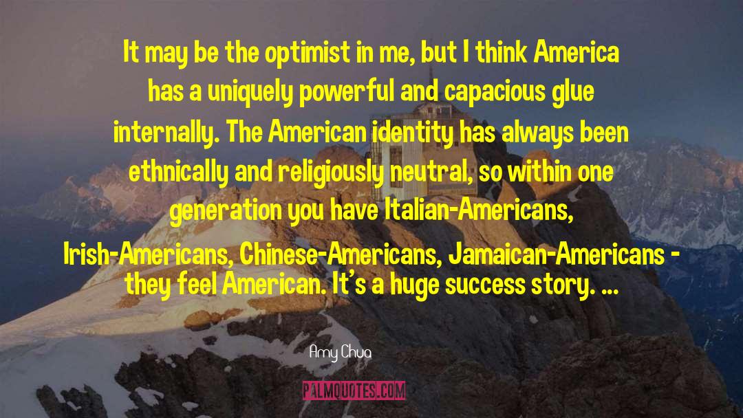 Chinese Americans quotes by Amy Chua