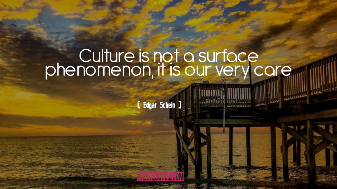 Chinese Culture quotes by Edgar Schein