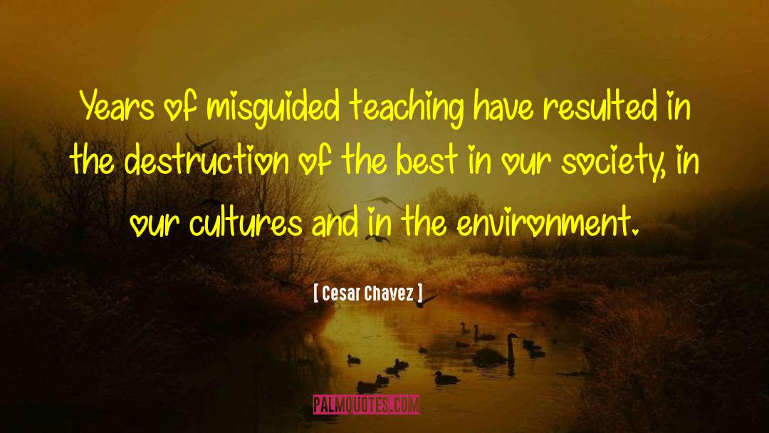 Chinese Culture quotes by Cesar Chavez