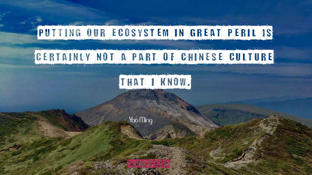 Chinese Culture quotes by Yao Ming