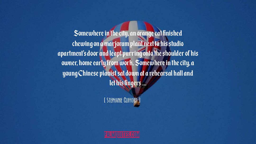 Chinese Junzi quotes by Stephanie Clifford