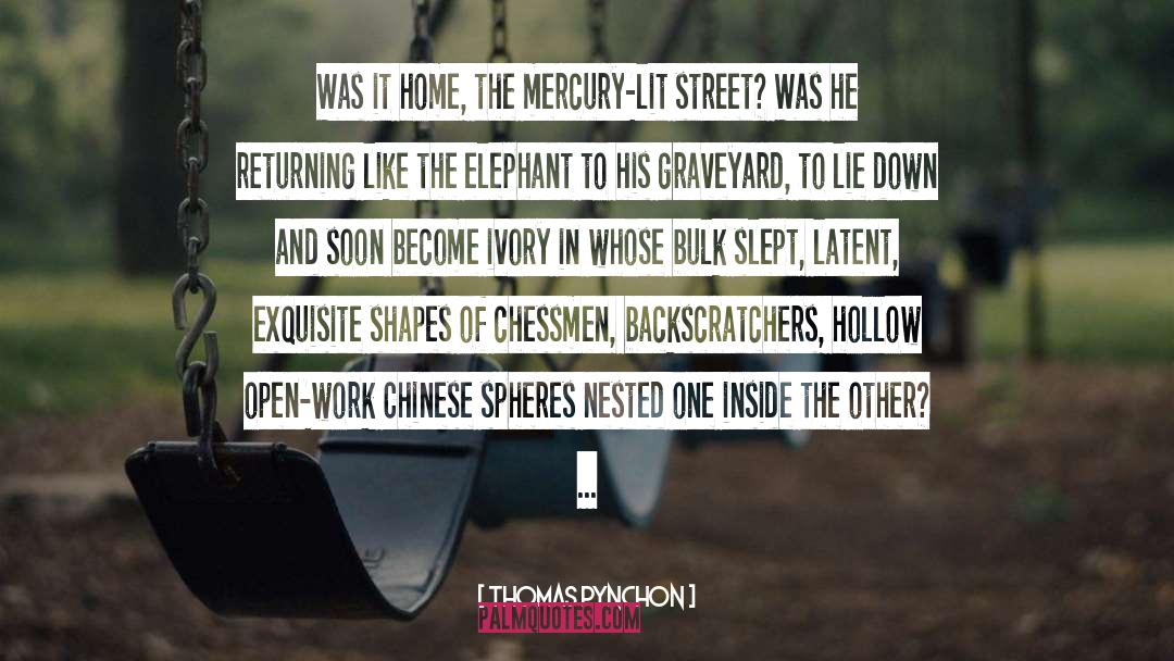 Chinese quotes by Thomas Pynchon