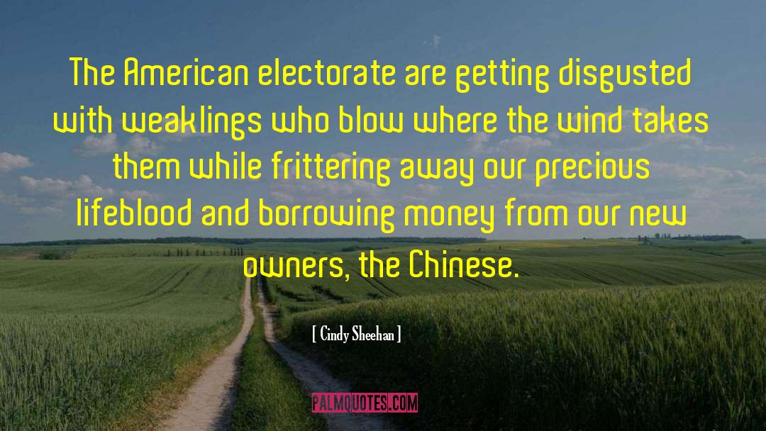 Chinese Spring Festival quotes by Cindy Sheehan
