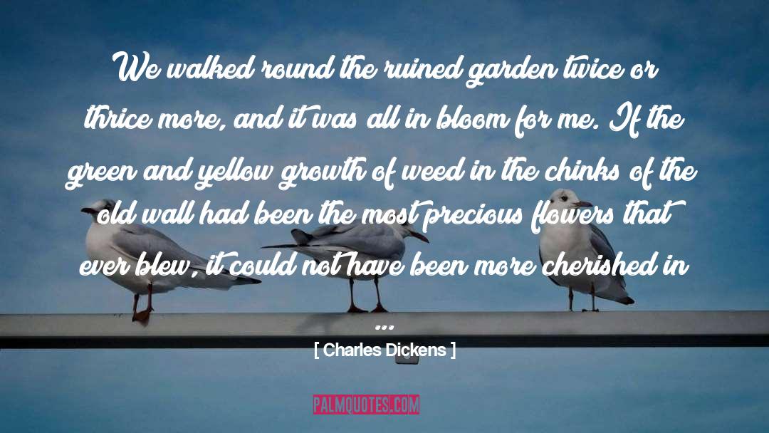 Chinks quotes by Charles Dickens
