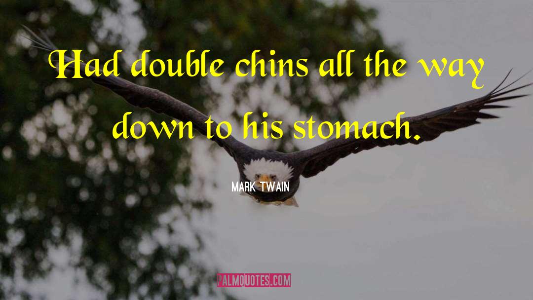 Chins quotes by Mark Twain