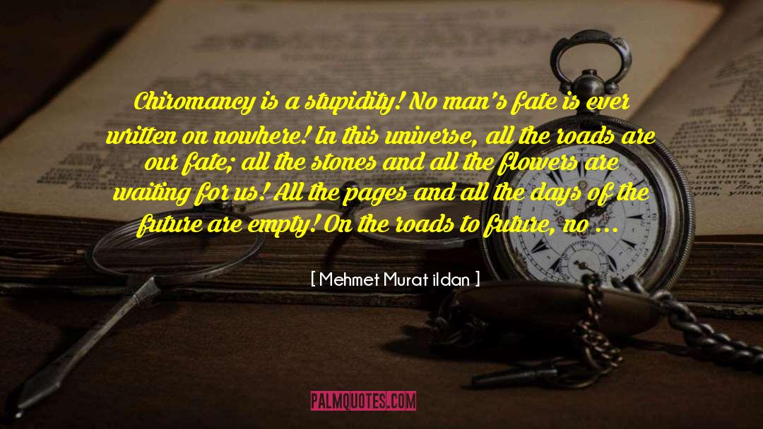 Chiromancy quotes by Mehmet Murat Ildan