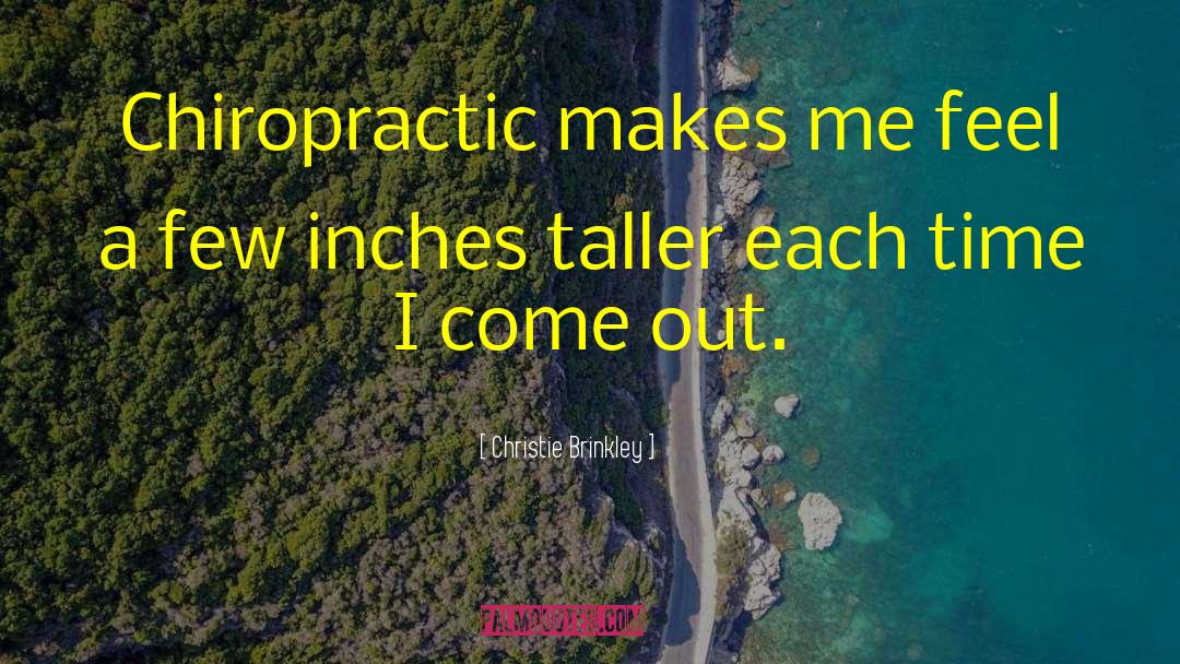 Chiropractic quotes by Christie Brinkley