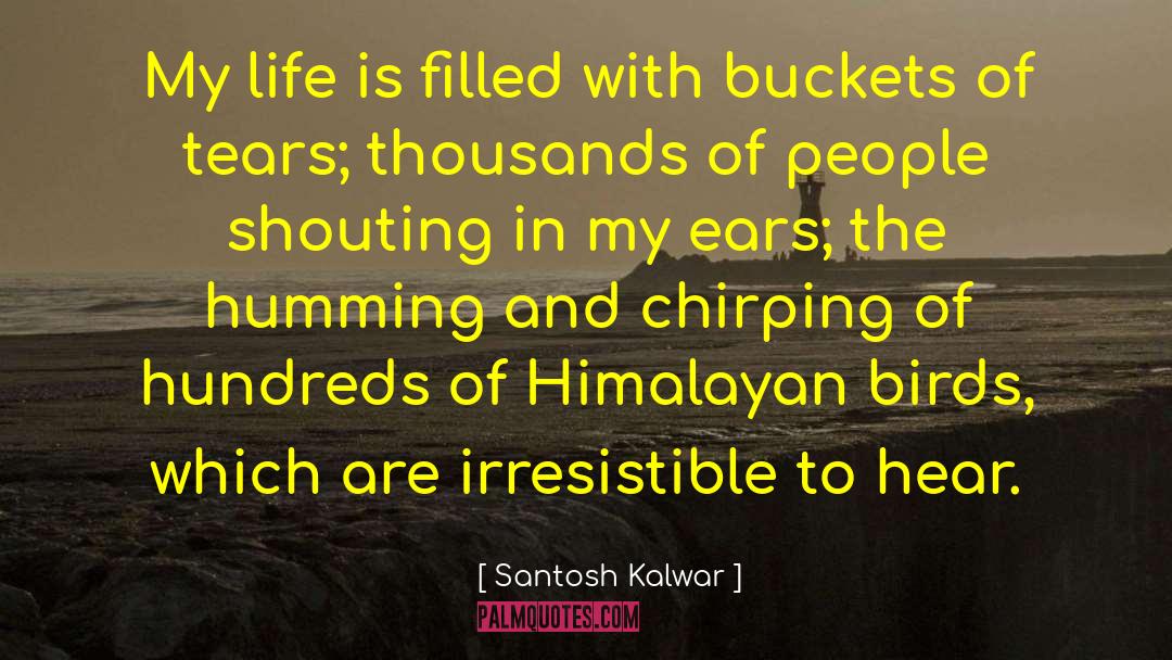 Chirping quotes by Santosh Kalwar