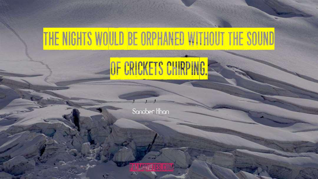 Chirping quotes by Sanober Khan