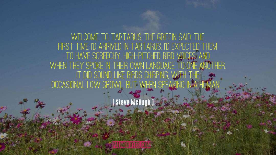 Chirping quotes by Steve McHugh