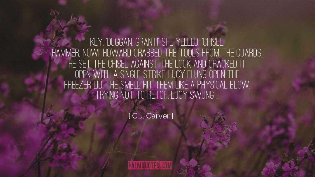 Chisel quotes by C.J. Carver