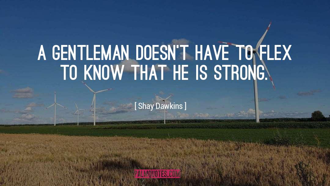 Chivalry quotes by Shay Dawkins