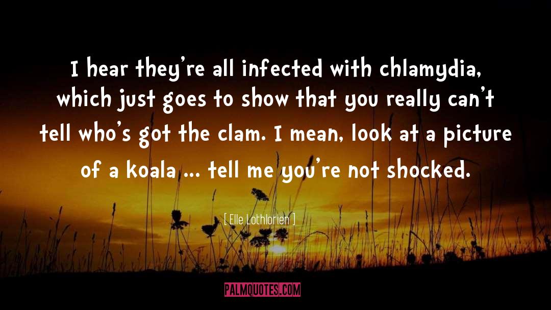 Chlamydia quotes by Elle Lothlorien