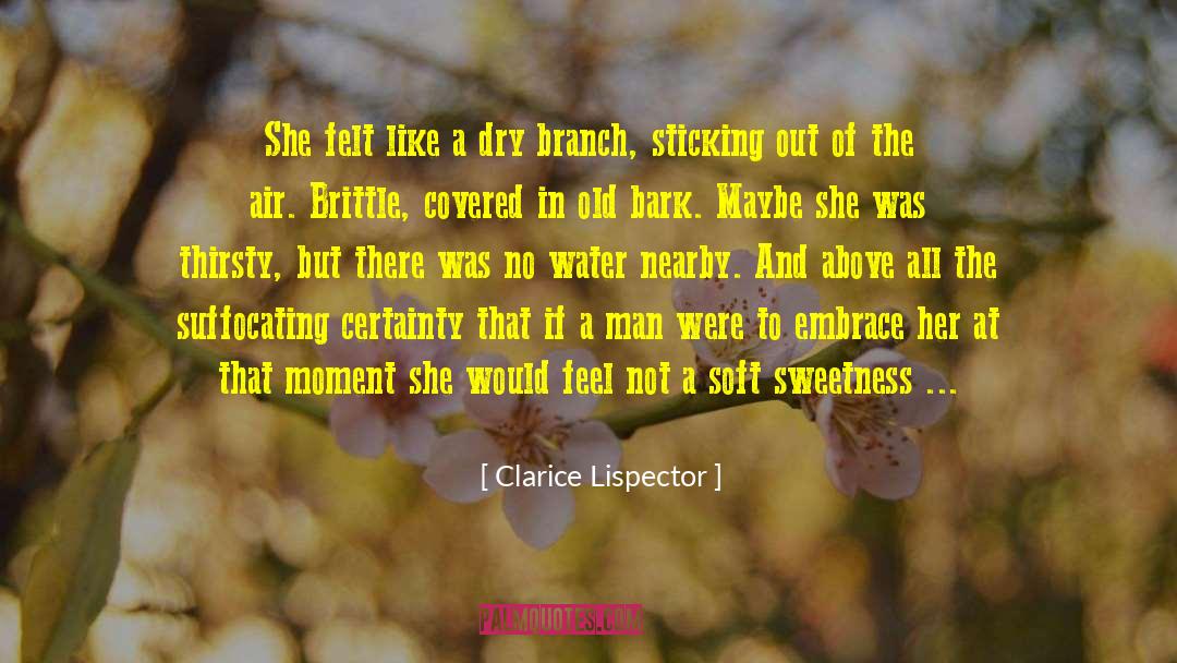 Chloride Of Lime quotes by Clarice Lispector